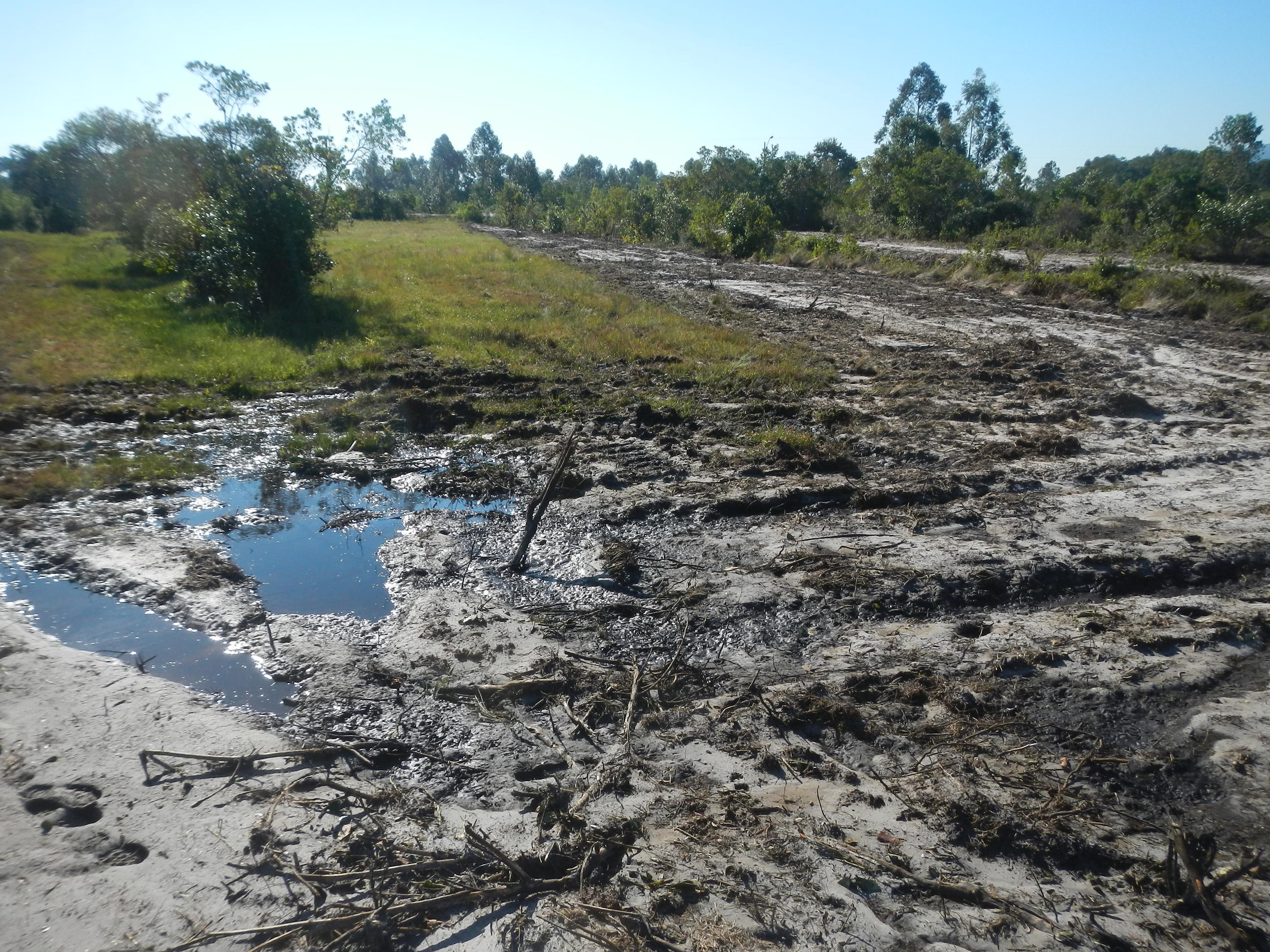 20150730 Fazenda Futura área do novo bambuseto preparada 004.jpg