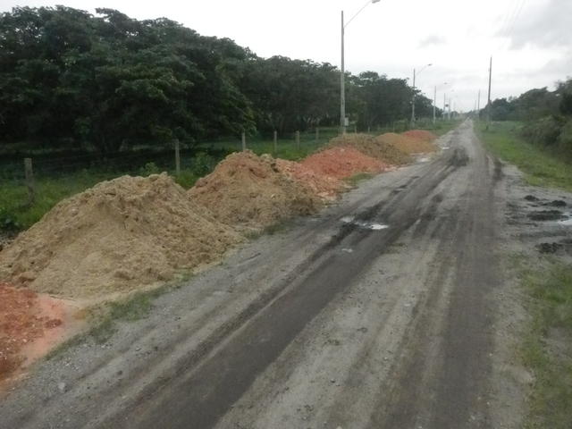 20151002 Fazenda ingazeiros SAF silvopastoril estrada.jpg