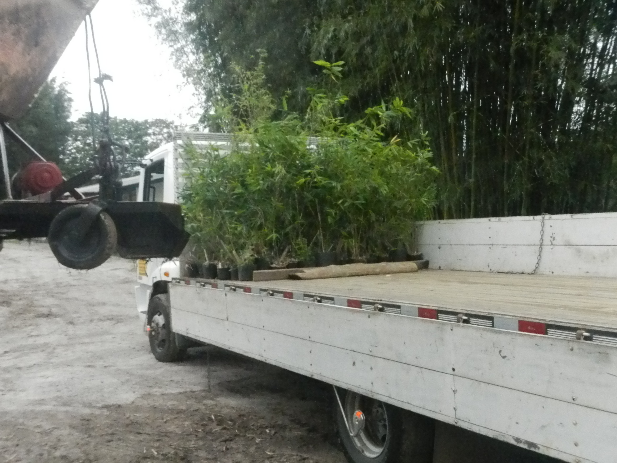 20151006 Fazenda Bambus e roçadeira p Curitibanos carregamento 001.jpg
