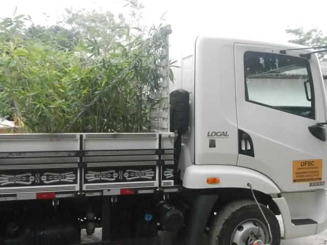 20151006 Fazenda Bambus e roçadeira p Curitibanos carregamento 004.jpg