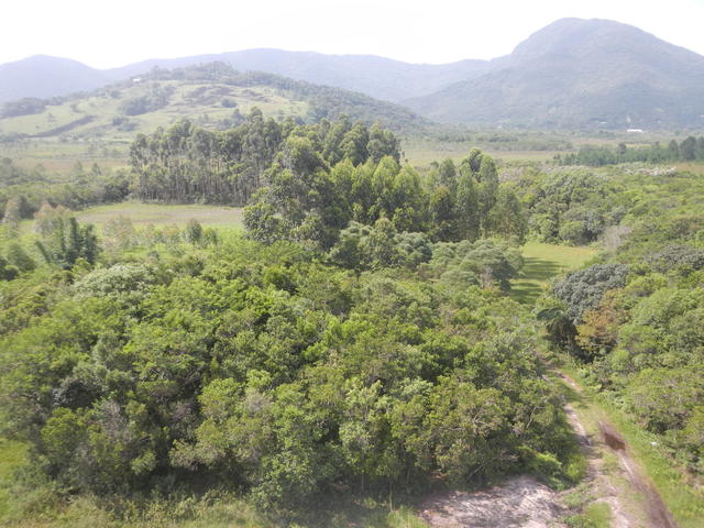 20151216 Fazenda Vista paisagem sudeste silvicultura agroecologi 001.jpg