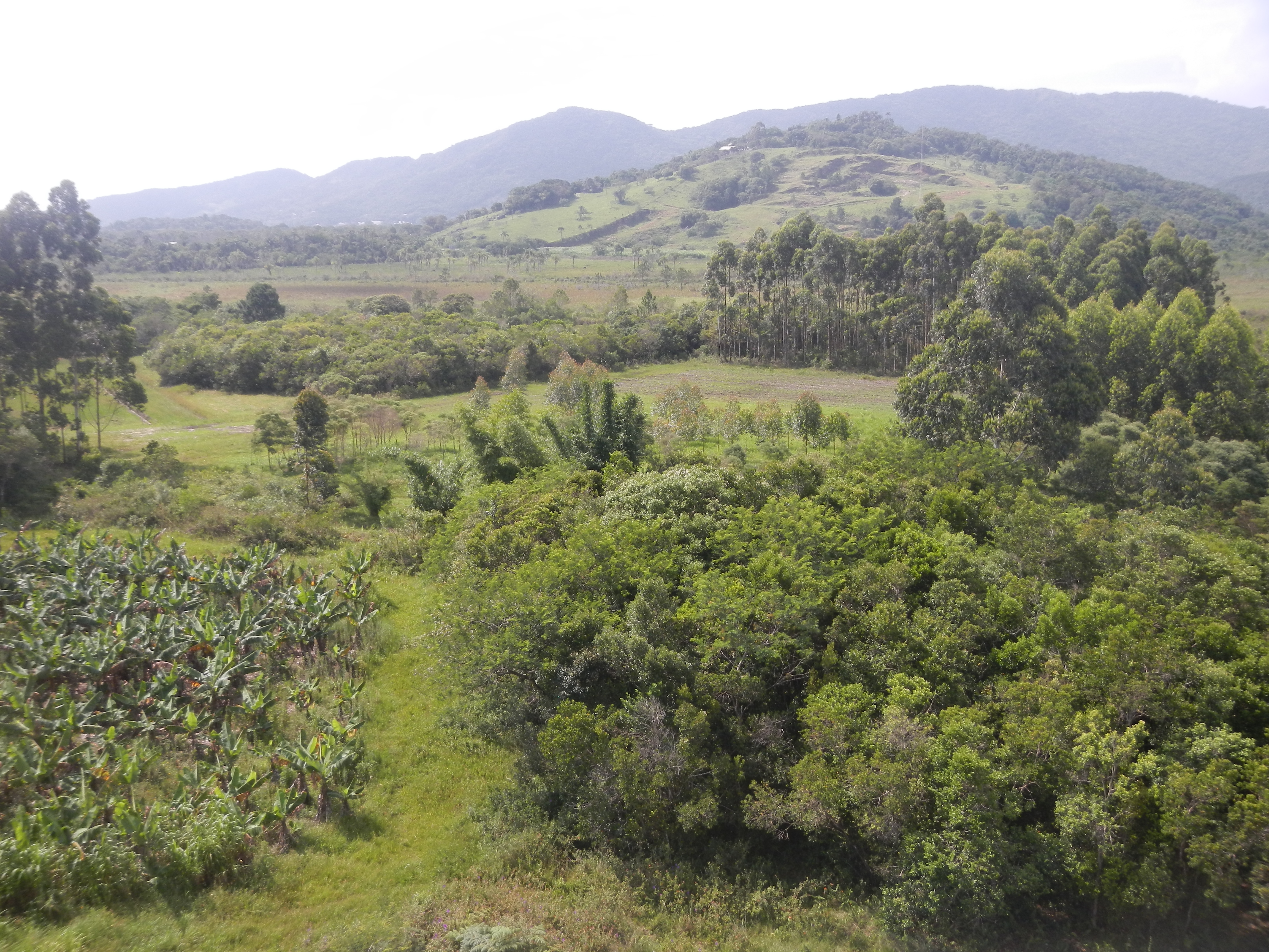 20151216 Fazenda Vista paisagem sudeste silvicultura agroecologi 002.jpg