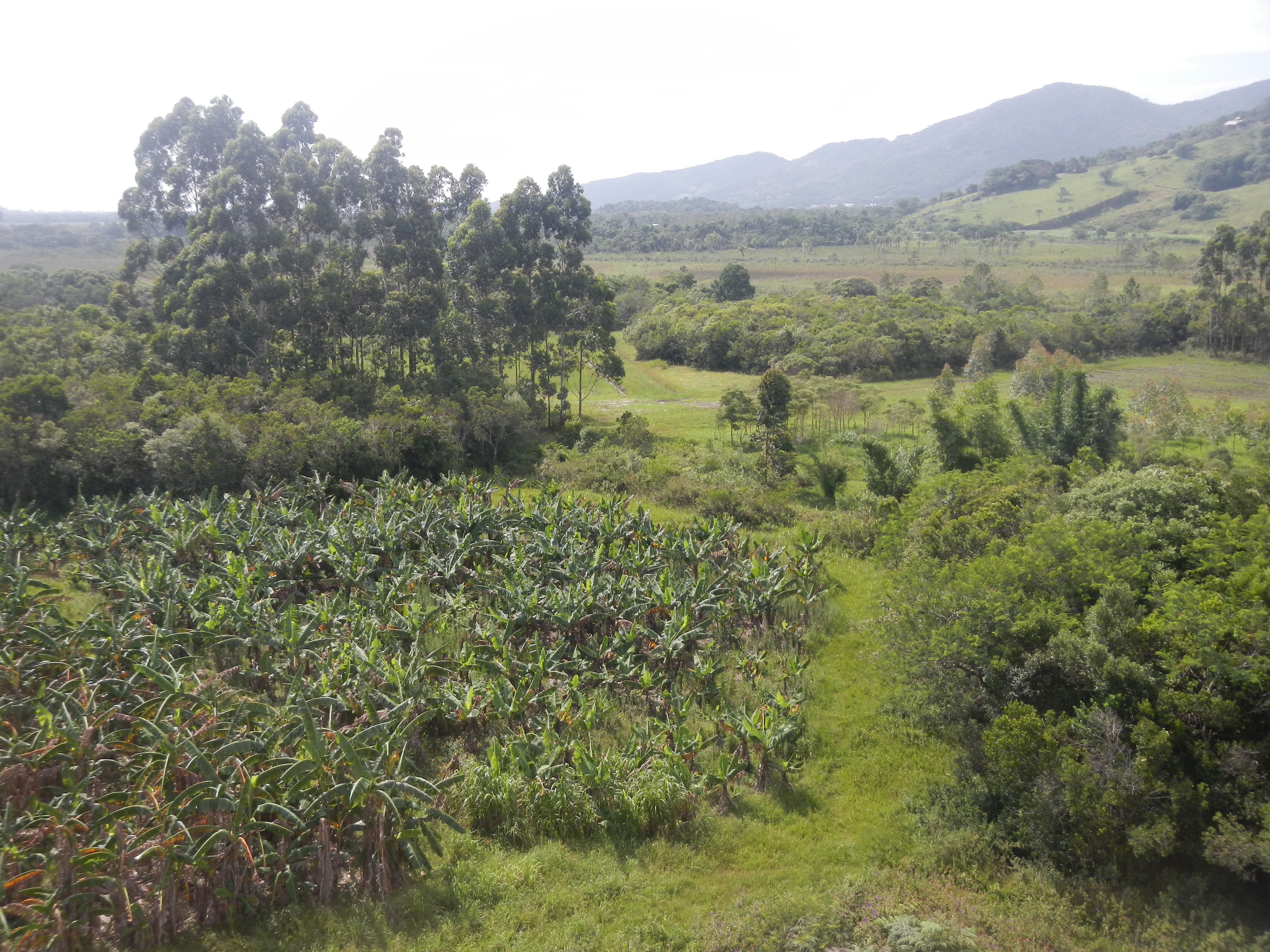 20151216 Fazenda Vista paisagem sudeste silvicultura agroecologi 003.jpg