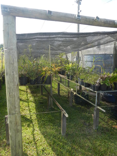 20160309 UFSC Curitibanos horta agroecologia estrutura viveiros 004.jpg