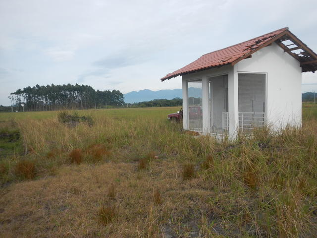20160509 Fazenda área pivô açude quadras de arroz lavouras 001.jpg