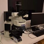 01.11.0020.02 - Microscópio biológico trinocular com fluorescência