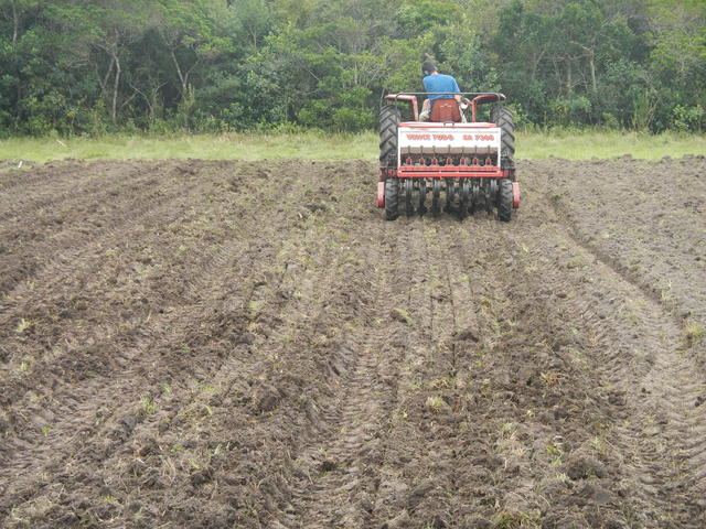 20161024 Fazenda preparo área agroecologia Experimento Diego doc 006.jpg