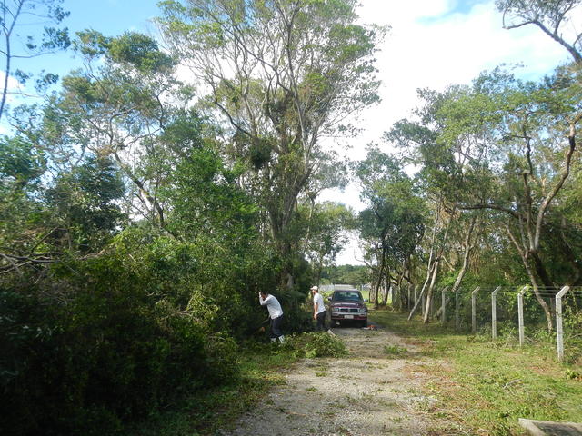 20161205 Fazenda Prejuízos após ciclone 021 Queda de árvores.jpg