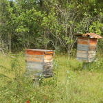 20161205 Fazenda Prejuízos após ciclone 044 destelhamento caixas abelhas apicultura.jpg