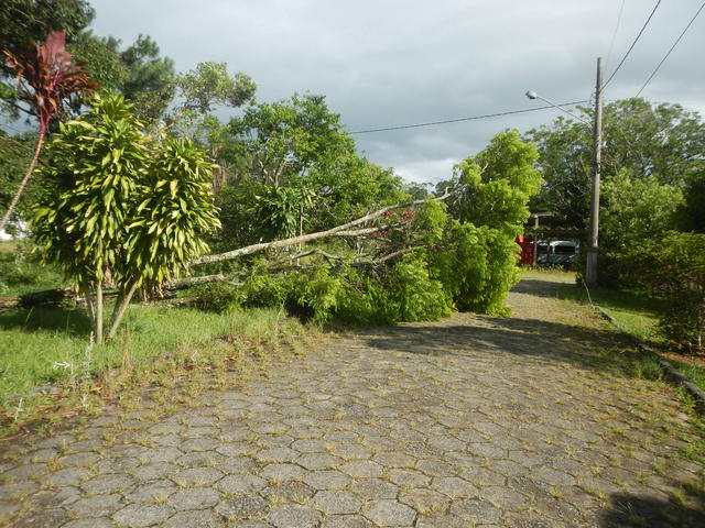 20161205 Fazenda Prejuízos após ciclone CeFA 026 Queda de árvores.jpg