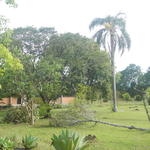 20161205 Fazenda Prejuízos após ciclone CeFA 032 queda de árvores.jpg