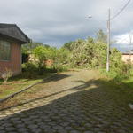 20161205 Fazenda Prejuízos após ciclone CeFA 036 Queda de árvores sobre fiação elétrica poste.jpg