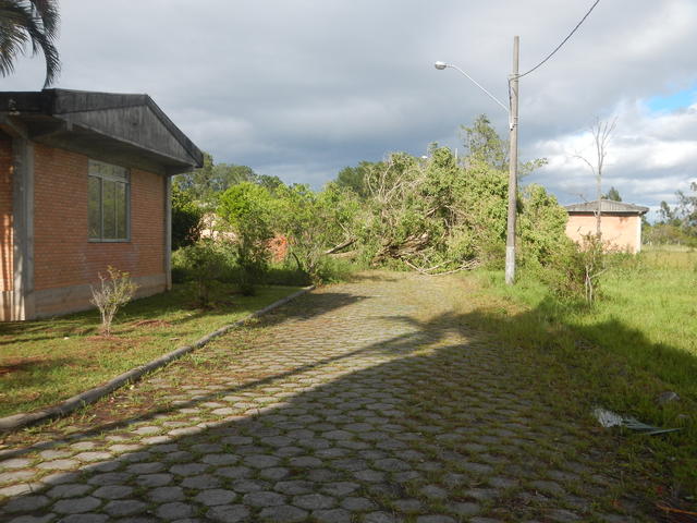 20161205 Fazenda Prejuízos após ciclone CeFA 036 Queda de árvores sobre fiação elétrica poste.jpg