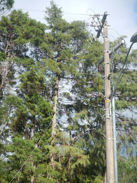 20161205 Fazenda Prejuízos após ciclone CeFA 062 Queda de árvores sobre fiação elétrica poste.jpg