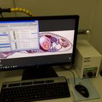 01.13.0226.00 - CELTEC - Unidade de escaneamento e análise de células e tecidos (8)