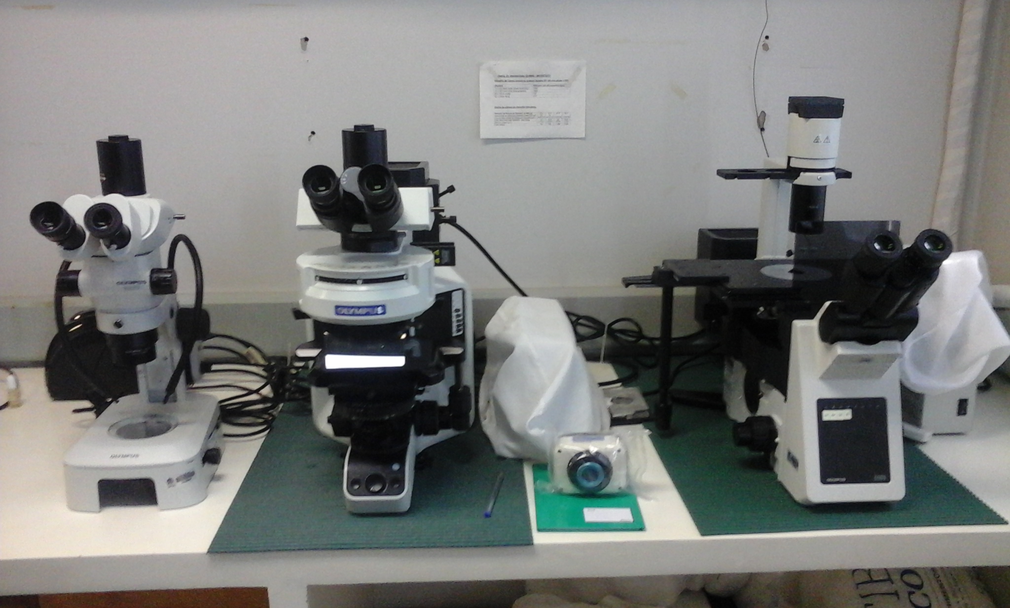 01.12.0269.01 - AMBIOTEC - Sistema de microscopia (invertido, de fluorescência e lupa) c acessórios e captura de imagem