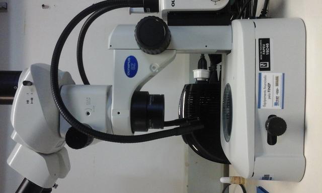 01.12.0269.01 - AMBIOTEC - Sistema de microscopia (invertido, de fluorescência e lupa) c acessórios e captura de imagem 2