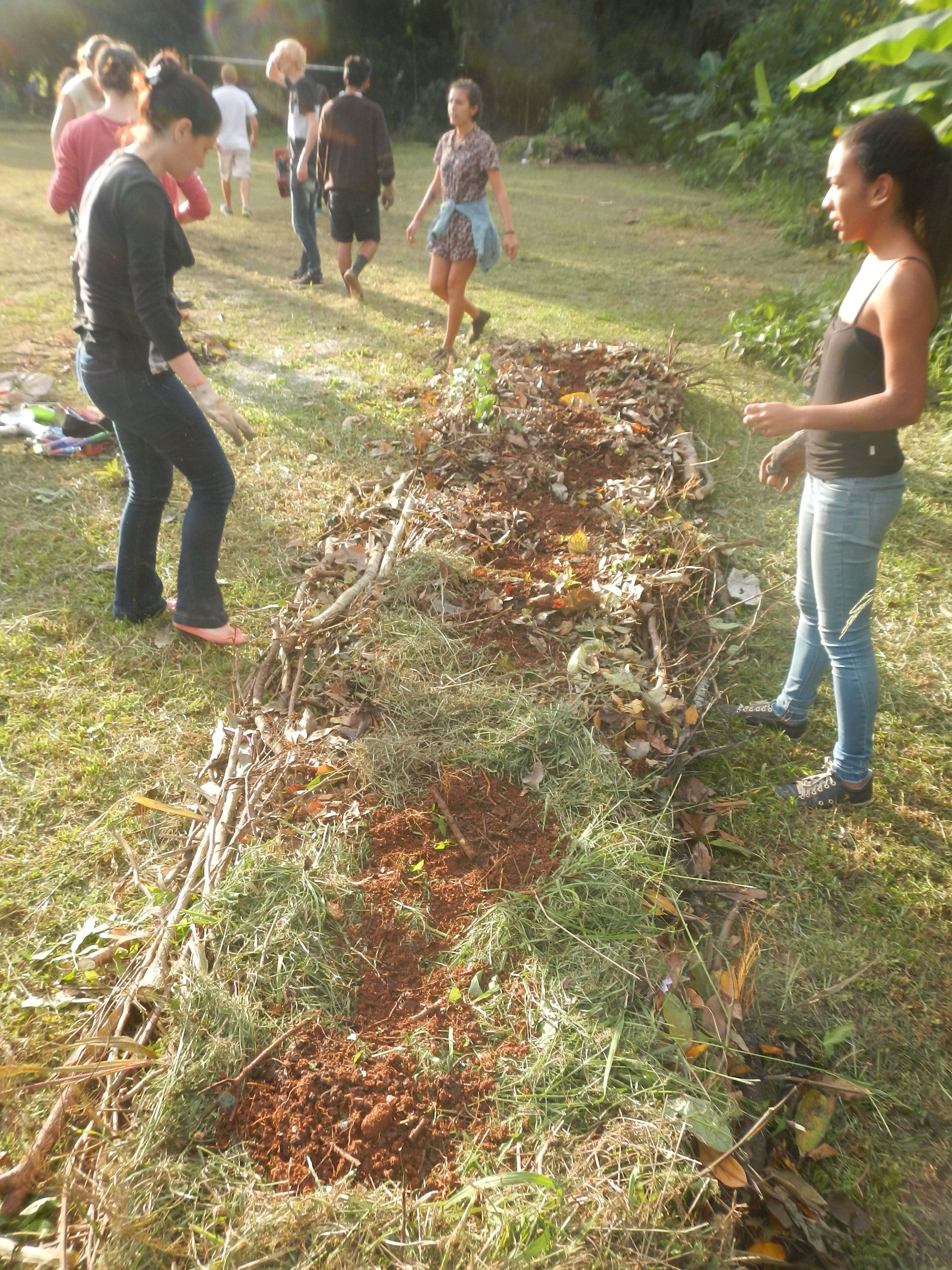 20170509 Permacultura CCA Alimentação PANCs e horta HOCCA 014.jpg