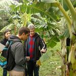 20170816 Fazenda Aula Manejo de doenças de plantas Bananal Fruticultura Pomar (1).jpg