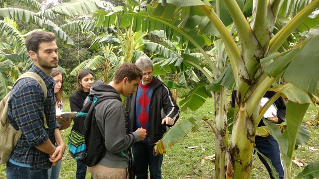 20170816 Fazenda Aula Manejo de doenças de plantas Bananal Fruticultura Pomar (2).jpg