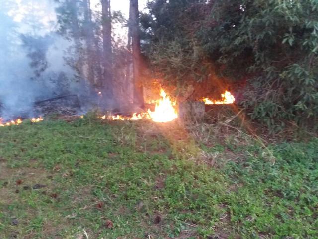 20170829 Fazenda incêndio mato no Cefa (4).jpg