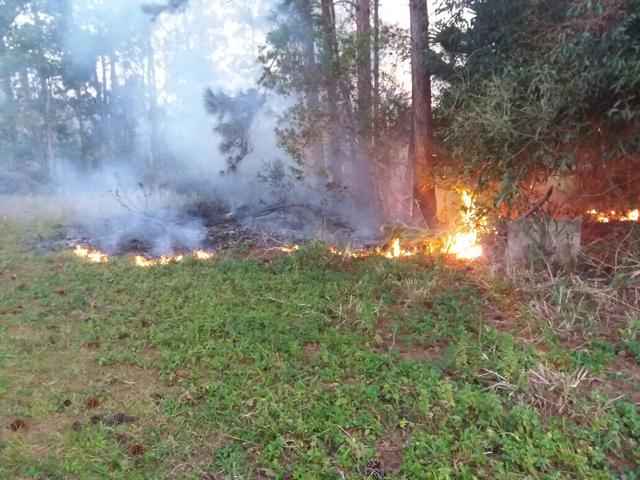 20170829 Fazenda incêndio mato no Cefa (5).jpg