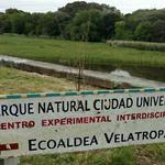 20171013 Permacultura Buenos Aires Ecovila Ecoaldea Velatropa 002.jpg