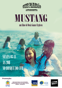 mustang
