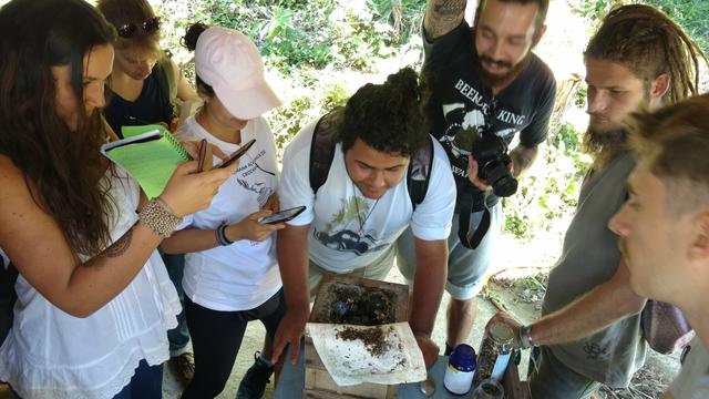 20171028 Permacultura Vargem Grande Visita projeto final Ecovila São José (23) Meliponicultura abelhas sem ferrão.jpg