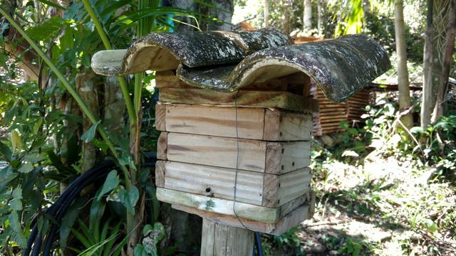 20171028 Permacultura Vargem Grande Visita projeto final Ecovila São José (21) Meliponicultura abelhas sem ferrão.jpg