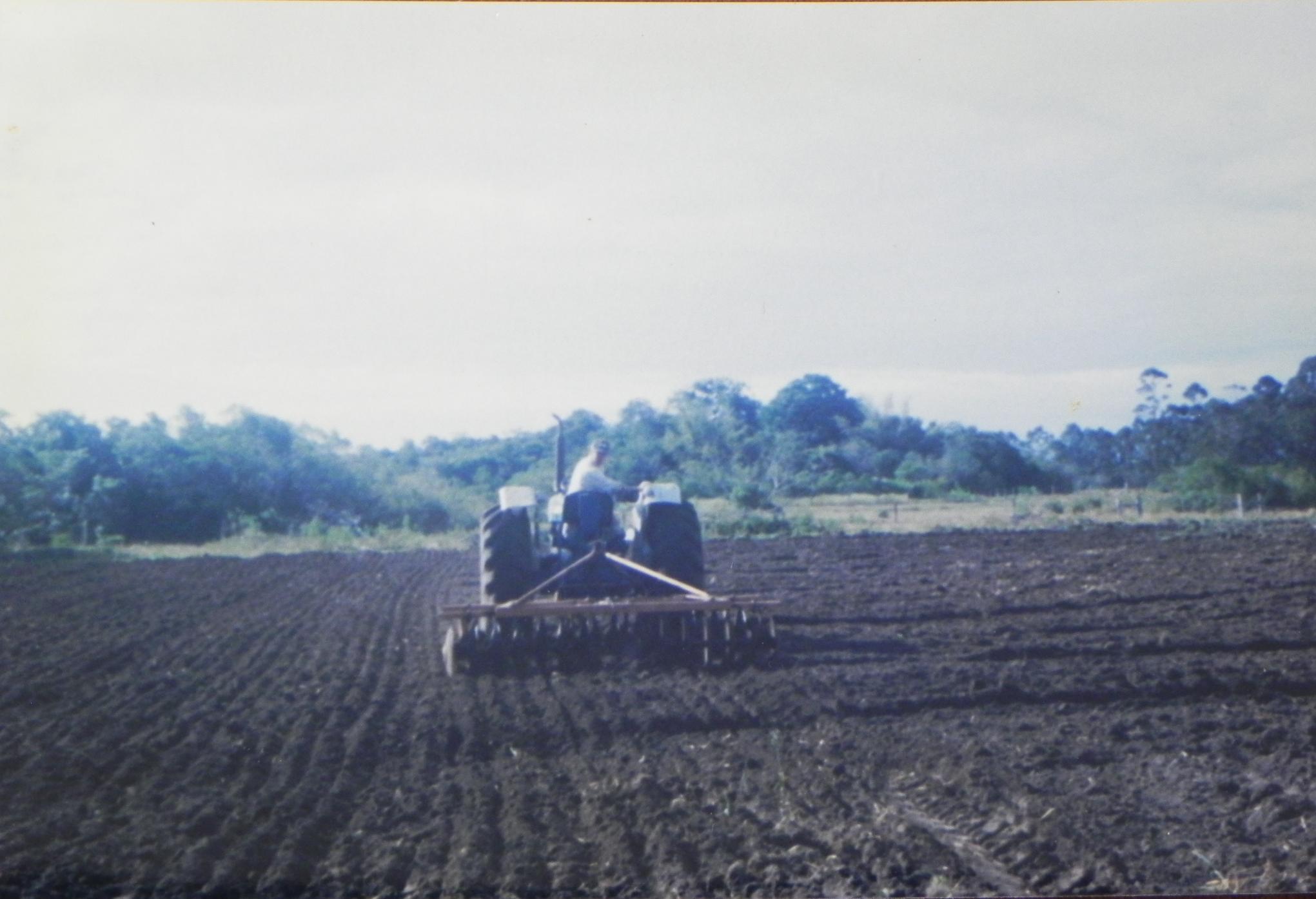 2002 area do lapad Alencar Gradeação preparo plantio milhos dos indigenas.jpg