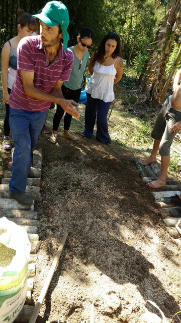 20171028 Permacultura Vargem Grande Visita projeto final Ecovila São José (46) Prática canteiros SAF ecologia cultivada