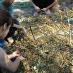 20171028 Permacultura Vargem Grande Visita projeto final Ecovila São José (56) Prática canteiros SAF ecologia cultivada