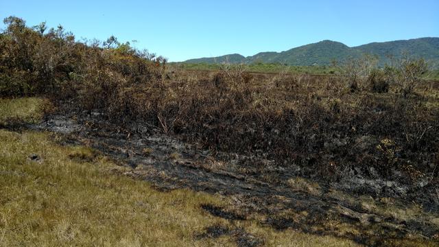 20171101 Fazenda após incêndio no Bambuseto fogo (5).jpg