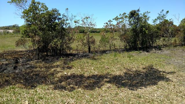 20171101 Fazenda após incêndio no Bambuseto fogo (12).jpg