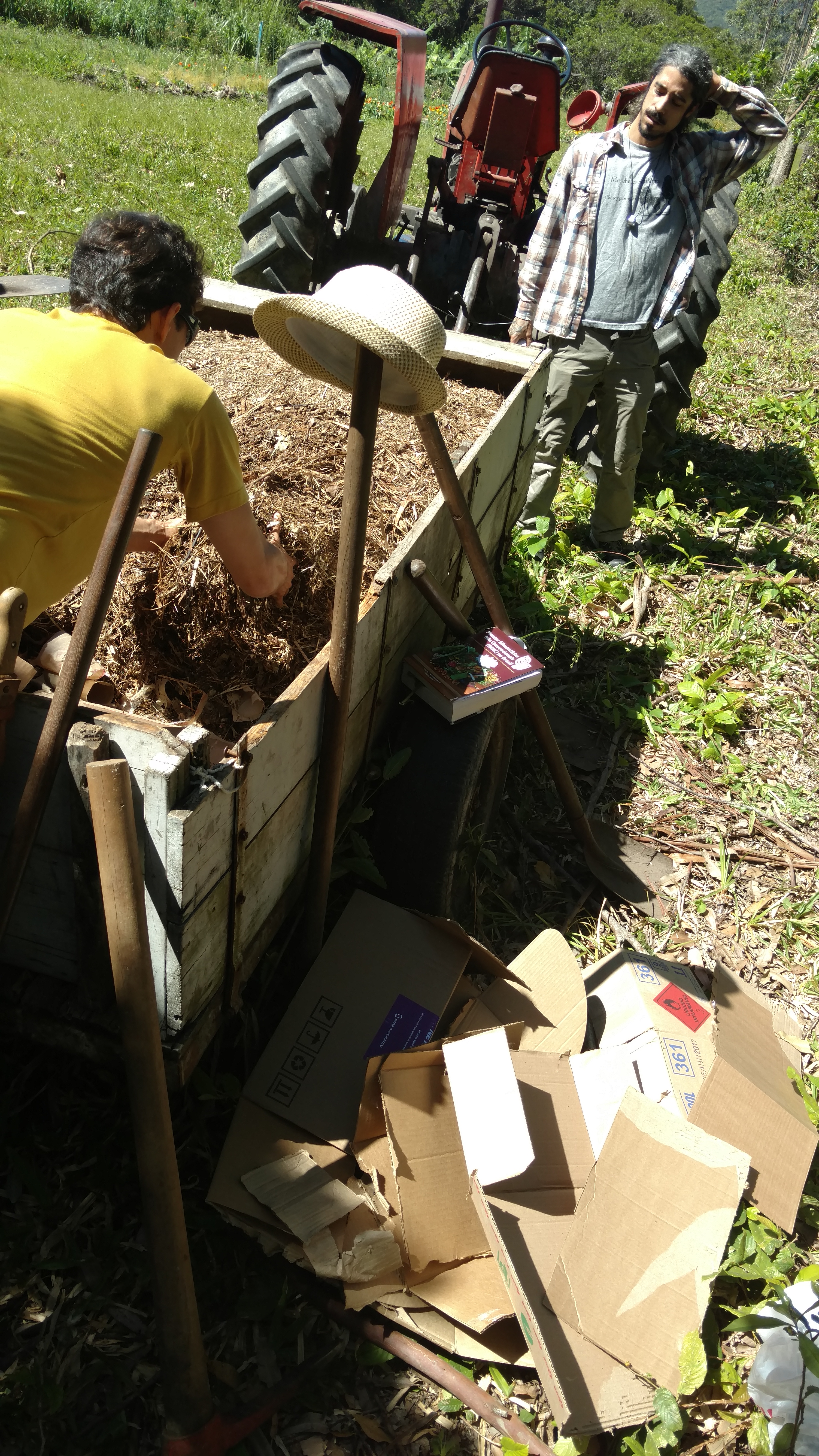 20171101 Fazenda Aula Sistemas Agroflorestais SAF Cultivo de cogumelos, FANCs e PANCs plantas alimentícias não convencionais (12