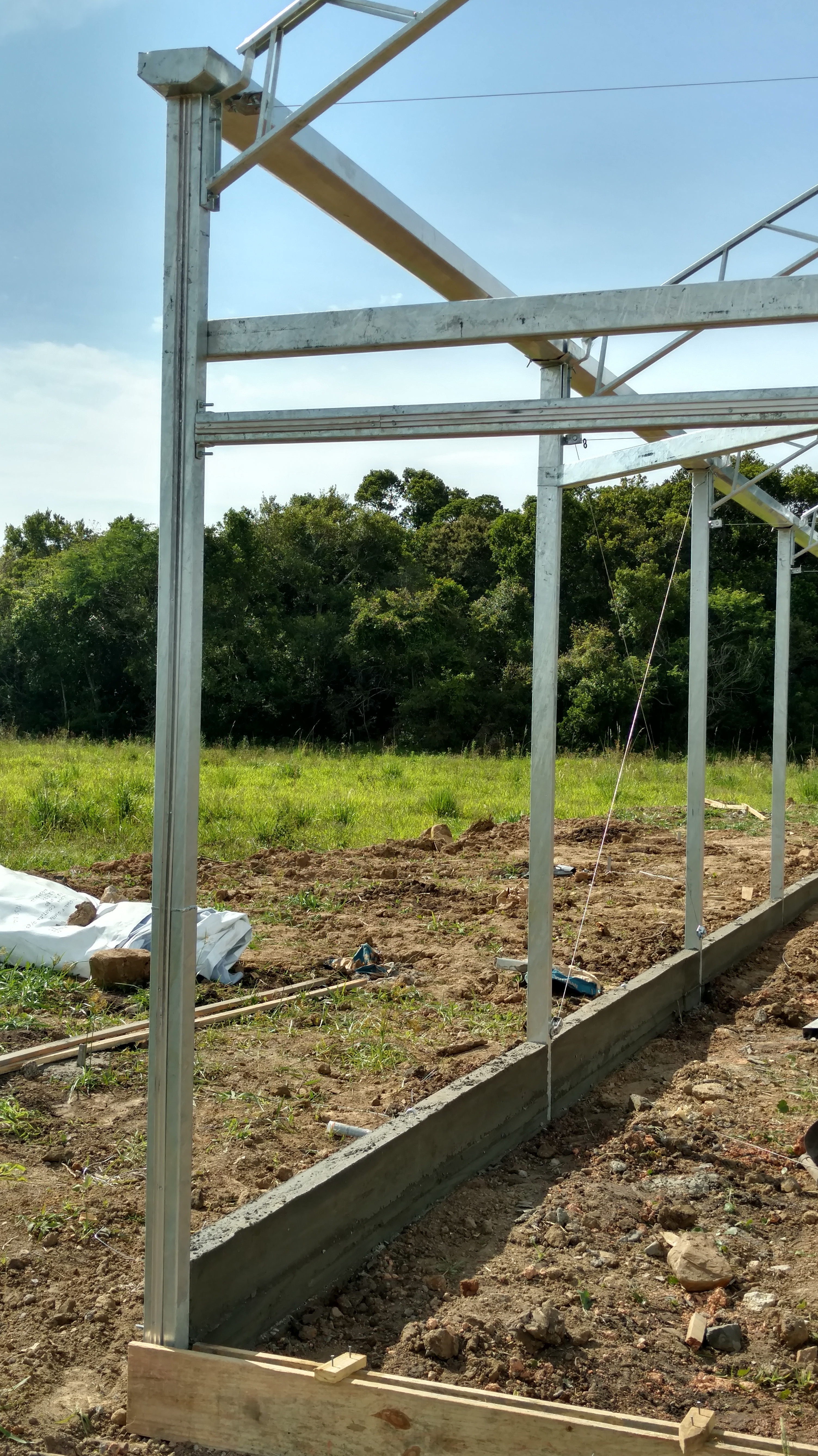 20171103 Fazenda Construção instalação Estufa Fitotecnia Guerra projeto bambu (2).jpg