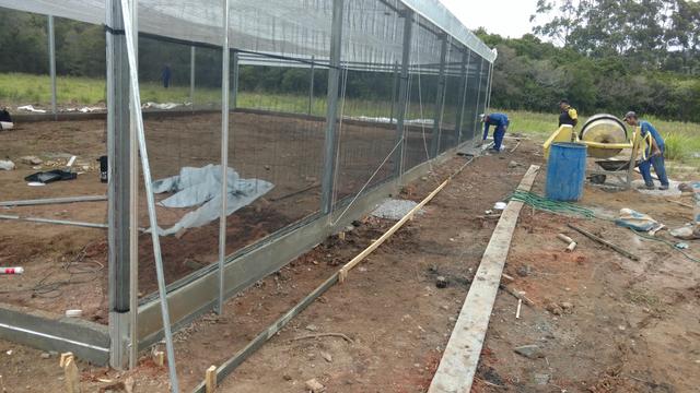20171106 Fazenda Construção instalação Estufa Fitotecnia Guerra projeto bambu (2).jpg