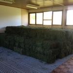 20171109 Fazenda Feno para ovinocultura.jpg