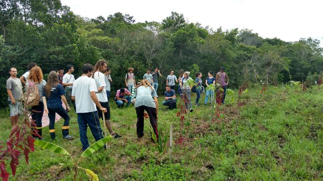 20171117 Fazenda aula Agroecologia  (2).jpg