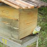 20100723 Fazenda alimentação apiário e bambuseto 005.jpg