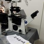 01.08.0400 - Microscópio invertido com contraste de fase e iluminação 100w
