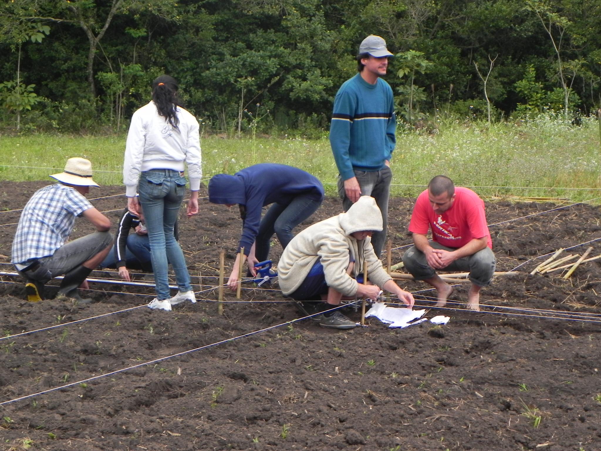 20100901 Fazenda Aula Experimentação 004.jpg