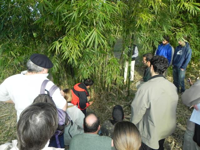 20100612 Fazenda Curso Plantio Manejo Bambu 023.jpg