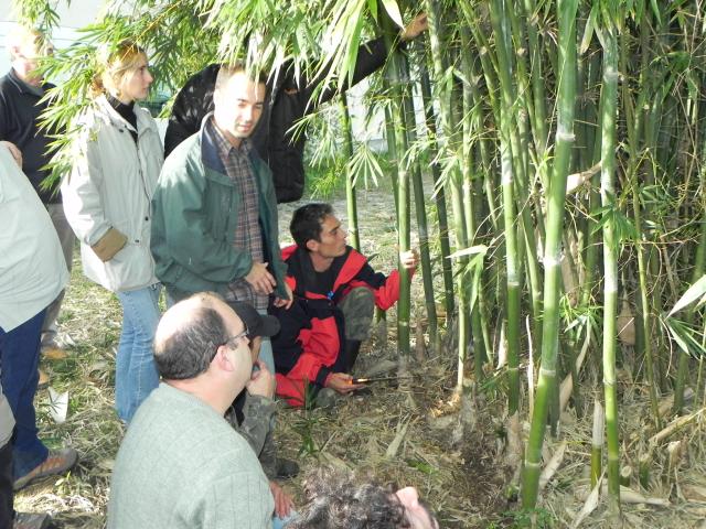 20100612 Fazenda Curso Plantio Manejo Bambu 027.jpg