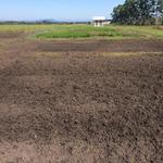 2019-01-23 Fazenda preparo área arrozeira