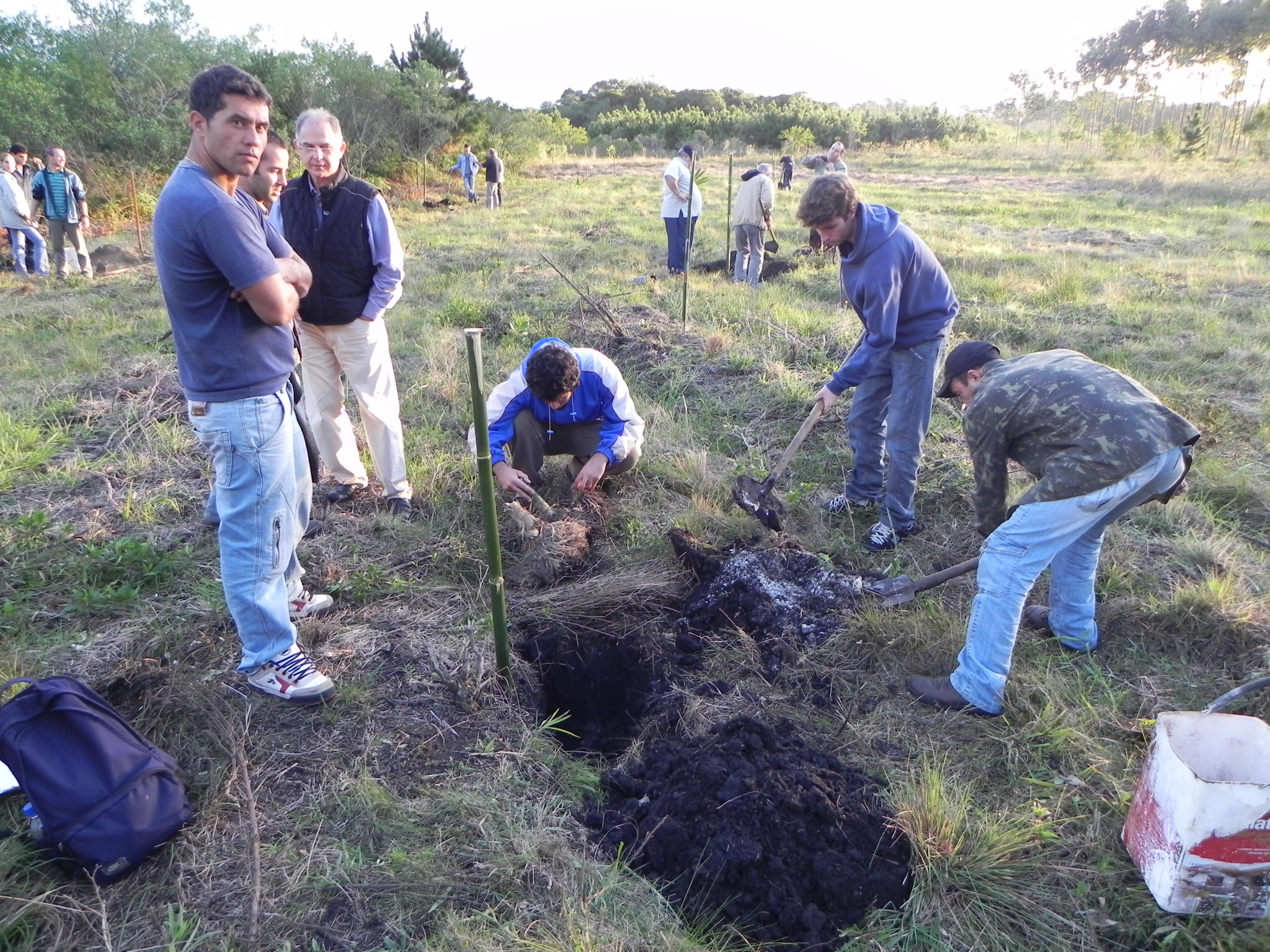 20100612 Fazenda Curso Plantio Manejo Bambu 069.jpg