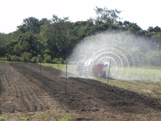 20100712 Fazenda Distribuidor de esterco usado para irrigação 1.jpg