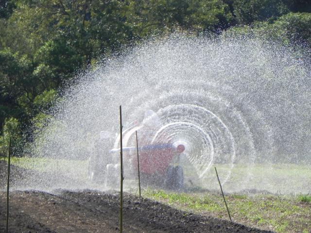 20100712 Fazenda Distribuidor de esterco usado para irrigação 3.jpg