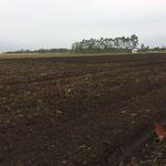 20180802 Fazenda preparo área do pivô para plantio lavoura (1)